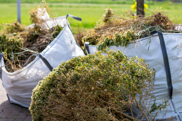 Basement Cleanout Services in Canadian, TX